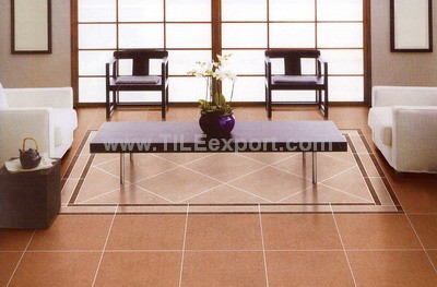 Floor_Tile--Porcelain_Tile,600X600mm[SS],66004_view